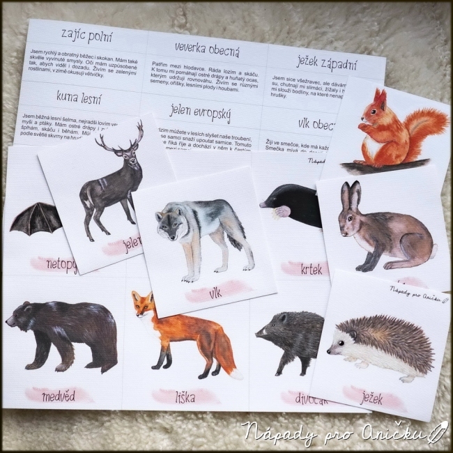 savci montessori kartičky 